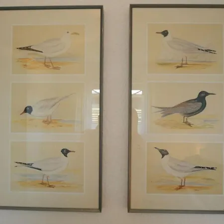 Mare Am Deich Comfortable Holiday בית נופש *