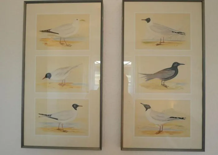 Mare Am Deich Comfortable Holiday بيت للعطل *